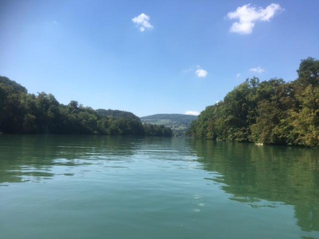 Appartamento Swiss View Hohentengen am Hochrhein Esterno foto